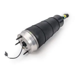Amortiguador Trasero Arnott AS-4412