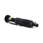 Amortiguador ABC Delantero Izquierdo Arnott SK-2413 Reacondicionado